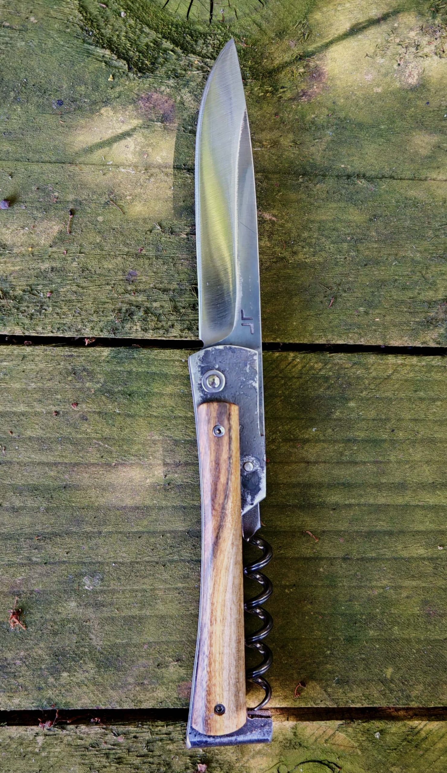 LE BOUHNOUME (Pistachier) – Image 2