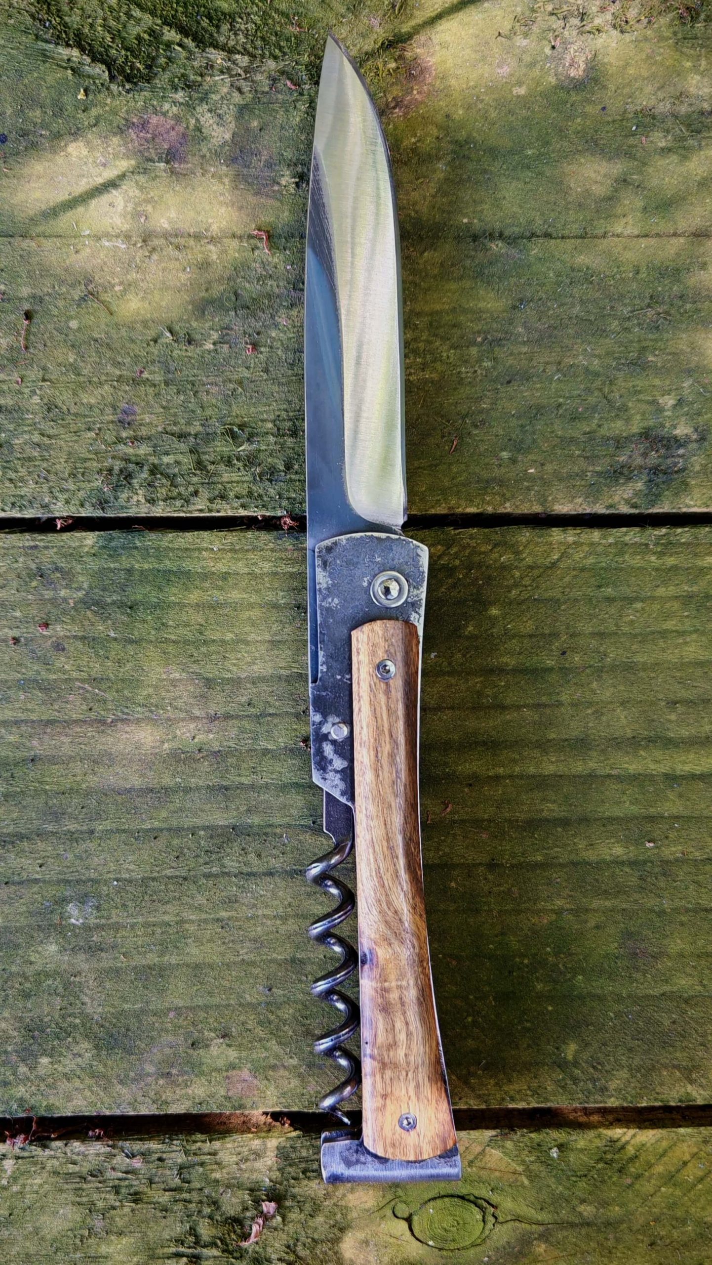 LE BOUHNOUME (Pistachier) – Image 3